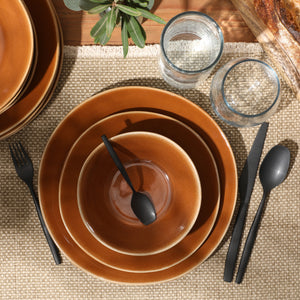 Bloomhouse Montecito Breeze 16 Piece Double Plates and Bowls Stoneware Reactive Glaze Dinnerware Set