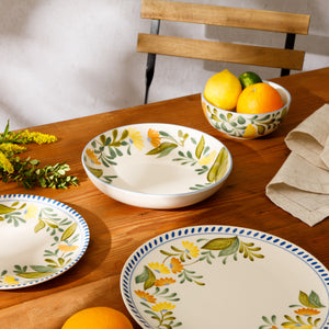 Bloomhouse Posy Blossom 16 Piece Double Bowl Hand Painted Stoneware Plates and Bowls Floral Dinnerware Set