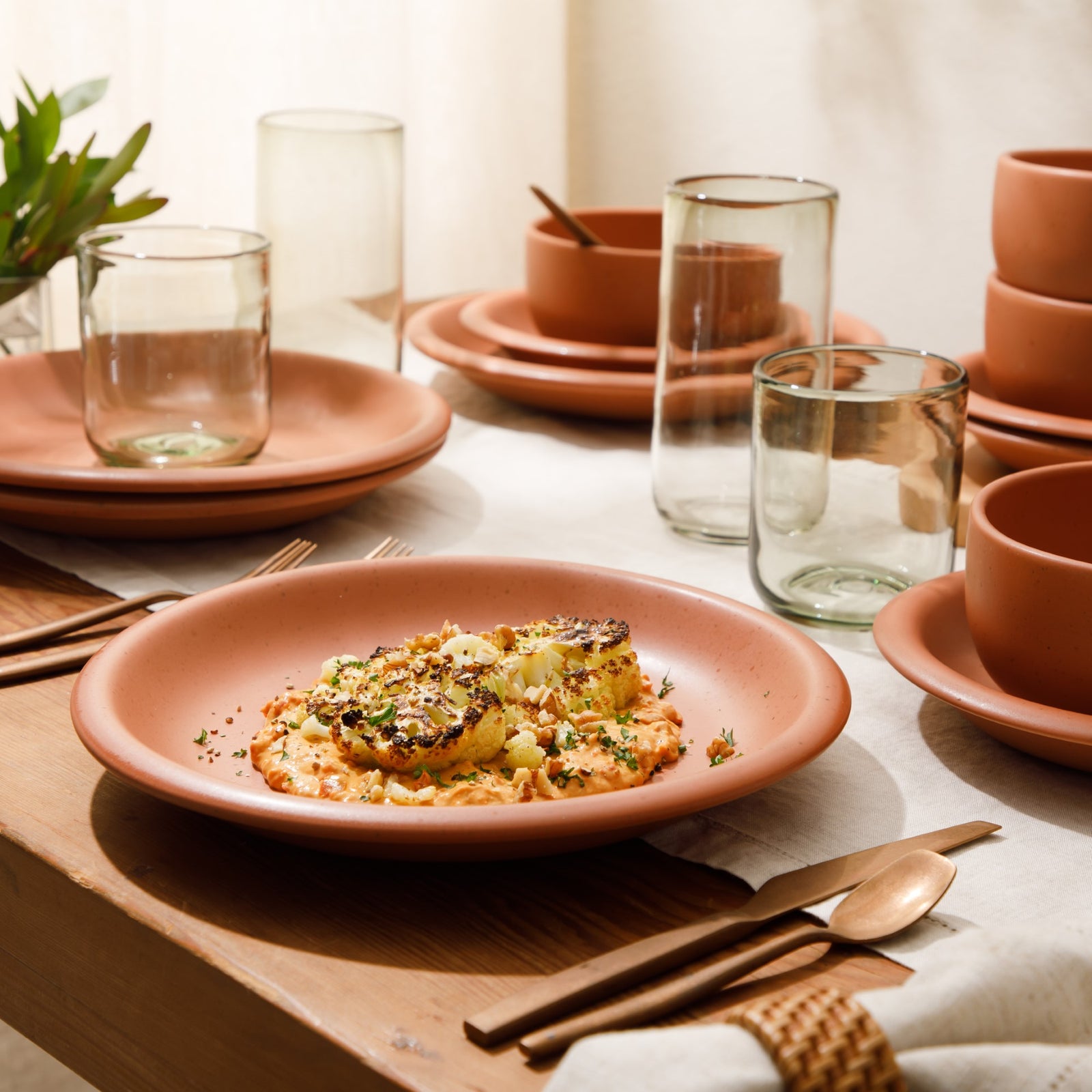 Bloomhouse Corsica Clay 12 Piece Stoneware Reactive Glaze  Dinnerware Set